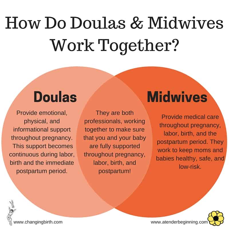 Doula Faq All You Need To Know About Kitcheners Premiere Doula