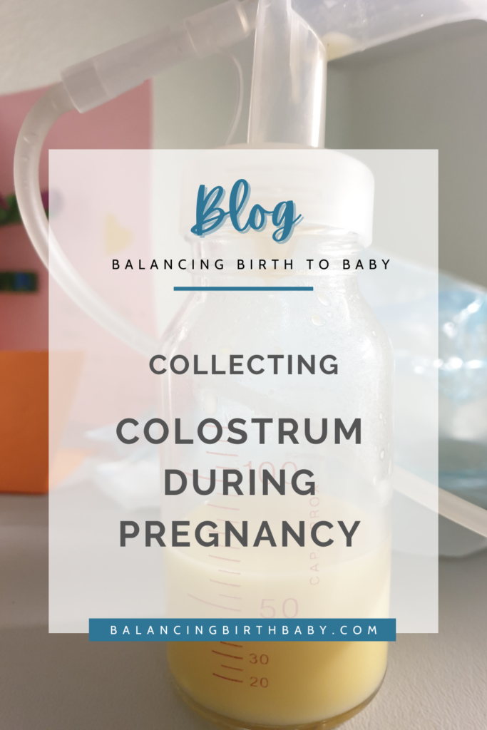 collecting colostrum